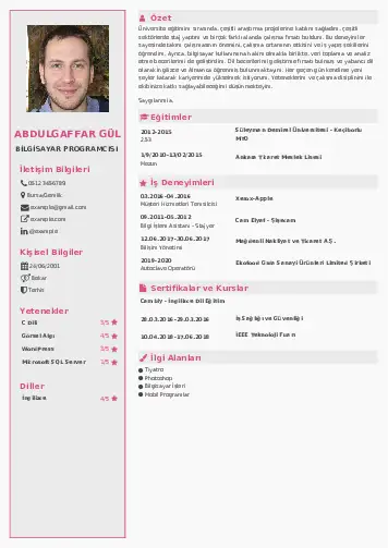 Bilgisayar Programcısı CV Örnekleri cv indir